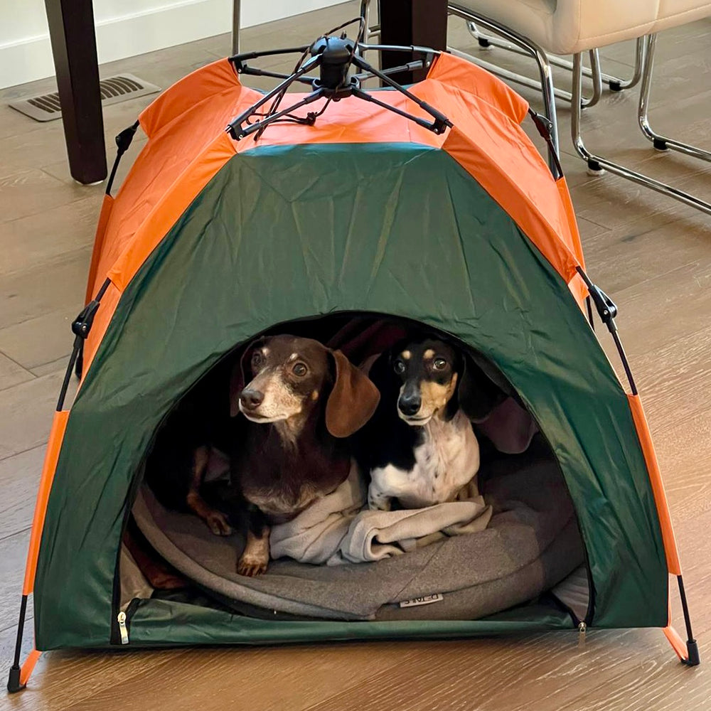 Pop-up Tent for Pets